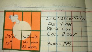 25wssm varmint loads